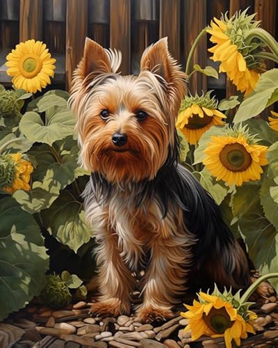 Malen nach Zahlen Kinder ab 15 Jahre Mädchen,süßer Yorkshire-Terrier,Erwachsene Malen nach Zahlen Kits für Home Wall Deco,Geschenk-40x50cm(Ohne Rahmen) von PIPISKY