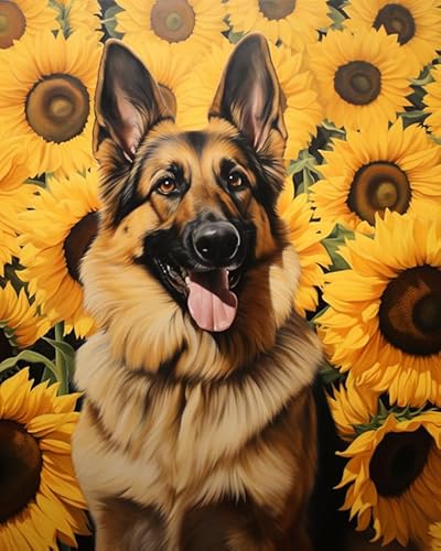 PIPISKY DIY-Ölgemälde-Malsets für Erwachsene,Sonnenblume Deutscher Schäferhund,Malen-nach-Zahlen-Sets für Erwachsene,Kunsthandwerk für Heimdekoration,40x50cm,Ohne Rahmen von PIPISKY