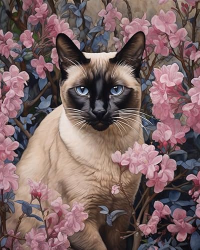 PIPISKY DIY-Ölgemälde-Sets für Erwachsene,Katze zwischen Blumen,Malen-nach-Zahlen-Sets für Erwachsene,Kunsthandwerk zur Heimdekoration,40x50cm,Ohne Rahmen von PIPISKY