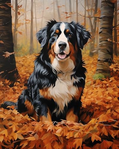 PIPISKY Malen-nach-Zahlen-Set für Erwachsene,Freundlicher Berner Sennenhund,Entspannende und therapeutische Malen-nach-Zahlen-Ölkunst,40x50cm,Ohne Rahmen von PIPISKY