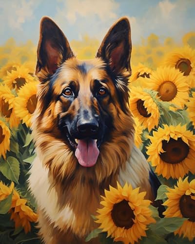 PIPISKY Malen nach Zahlen für erwachsene Kinder und Anfänger,Sonnenblume Deutscher Schäferhund,Kunst-Heimdekorations-Kunstwerk Malen nach Zahlen auf Leinwand,Geschenk,40x50cm,Ohne Rahmen von PIPISKY