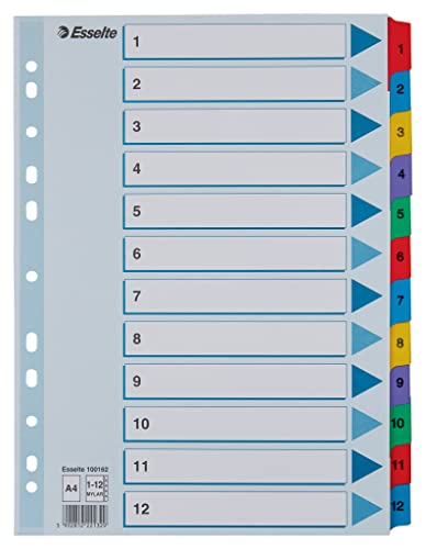 Esselte Leitz GmbH &CO KG Register 1-12 A4, 10er Pack, Mylar, mehrfarbig, 100162 von PLATINUM