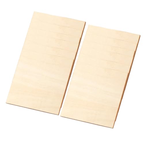 PLCPDM Lindenholzplatten, 15,2 cm, 30,6 cm, unlackiert, dünne Holzbretter zum Malen, Gravieren, Aufhängen, Ornament, 12 Stück von PLCPDM