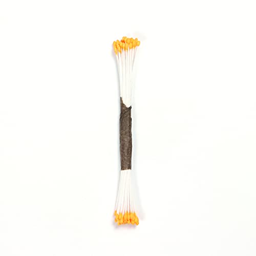 PME STAM02P Staubgefäße für Zuckerblumen, fein, schlicht, Kunststoff, Orange, 0.1 x 0.11 x 7.4 cm von PME