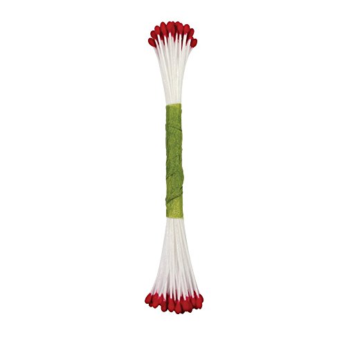 PME STAM02R Staubgefäße für Zuckerblumen, fein, schlicht, Kunststoff, Rot, 0.1 x 0.11 x 7.4 cm von PME