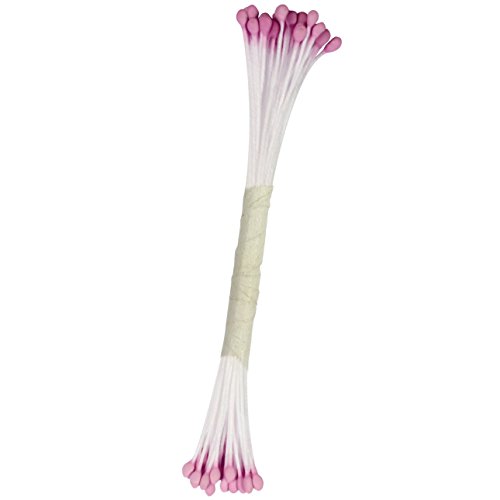 PME STAM12L Staubgefäße für Zuckerblumen, groß, Kunststoff, Violett, 0.1 x 0.11 x 7.4 cm von PME