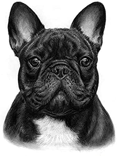 PNDGMCSY Malen nach Zahlen Tierische französische Bulldogge DIY Digitale malerei by Zahlen Moderne wandkunst leinwand malerei Geschenk für Kinder wohnkultur 40x50 cm von PNDGMCSY