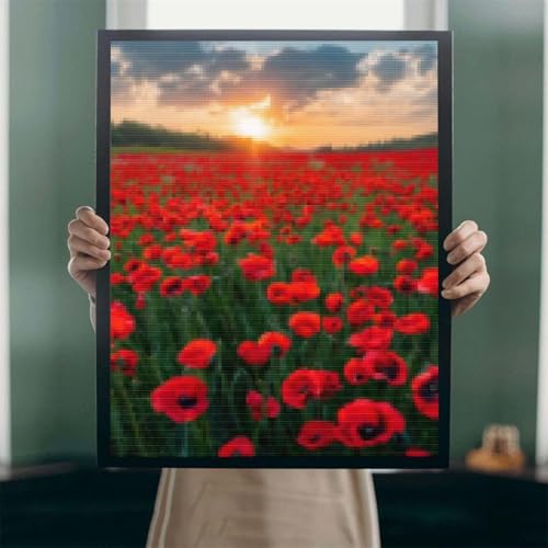 5D Diamond Painting Eigenes Bild Foto, DIY Leinwand Personalisiert Foto Diamant Malerei, Custom Eigenes Foto Diamant Painting Bilder, Innendekoration Fotogeschenke Personalisiert Decor 100x200cm A-23 von POOJNNPP