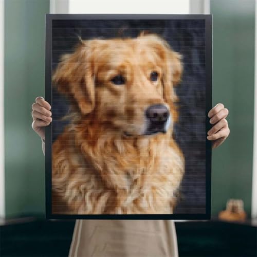 Diamond Painting Bilder Eigenes Foto Diamond Painting Personalisiert - Custom Benutzerdefinierte Design, Leinwand Personalisiert Foto Diamant Malerei, Geschenk Zuhause Wanddekoration 20x30cm A-16 von POOJNNPP