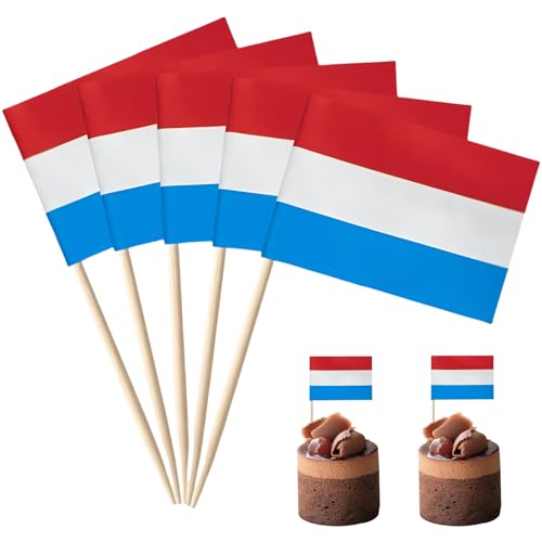 POPOYU 100 Stück Niederlande Zahnstocher Flaggen,Holland Flagge Fahne Klein Cocktail Tischdeko für Niederlande Deko Em 2024,Euro,Eurovision Contest,Olympische Cupcake-Topper,Zahnstocher,Pub-deko von POPOYU