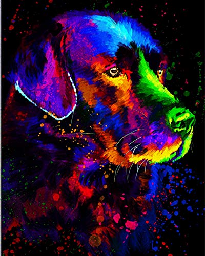 PPTRTYQ Malen nach Anzahl für Erwachsene DIY Ölgemälde-Kits mit Pinseln und Acrylpigment Leinwand Malerei Dekor 16 x 20 Zoll - Buntes Haustier Labrador Porträt von PPTRTYQ