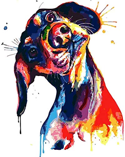 PPTRTYQ Malen nach Zahlen für Erwachsene Kinder, Tier bunter Hund neugieriger Hund 16x20 Zoll Leinen Leinwand Acryl DIY Number Painting Kits Handgemalte Ölgemälde Wandkunst Dekor Geschenke von PPTRTYQ