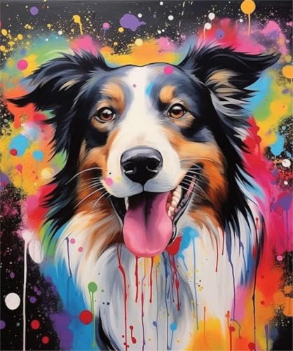 PPTRTYQT DIY Farbe nach Zahlen für Erwachsene 40x50 cm Ölgemälde mit Pinseln und Acrylpigment handgemaltes Geschenk Wandkunst Dekor,Abstrakte Graffiti bunten Collie Hund von PPTRTYQT