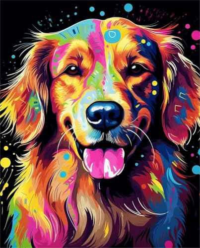 PPTRTYQT DIY Ölgemälde Malen nach Zahlen Erwachsene Kinder malen Handgemalte Geschenke Zahlenmalerei ab 5 Öl Wandkunst,Abstraktes Gekritzel bunter Golden Retriever Hund von PPTRTYQT