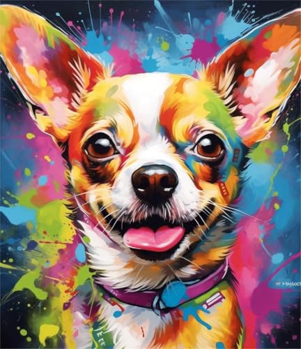 PPTRTYQT Malen nach Zahlen Kits Diy Leinwand Ölgemälde für Erwachsene Kinder mit Pinseln und Acrylpigment Handgemalte Wandmalerei Geschenke 40x50cm,Abstrakte Graffiti bunten Chihuahua Hund von PPTRTYQT