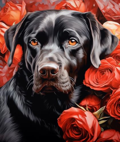 PPTRTYQT schwarzer Labrador-Hund und rote Rose von PPTRTYQT