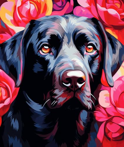 PPTRTYQT schwarzer Labrador-Hund und rote Rose von PPTRTYQT