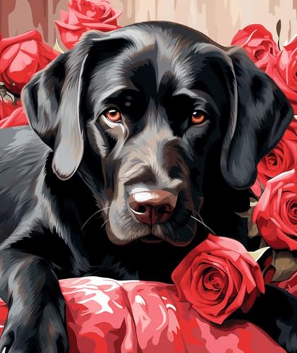 PPTRTYQT schwarzer Labrador-Hund und rote Rose von PPTRTYQT