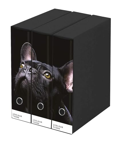 Set mit 3 Ringordnern – Motiv Hund – Ordner Rücken 8 cm, Hebelmechanik – Dokumentenmappe für Zuhause und Büro – Maße 3: 26 cm x 29 cm x 35 cm von PRESTIGE & DELUXE