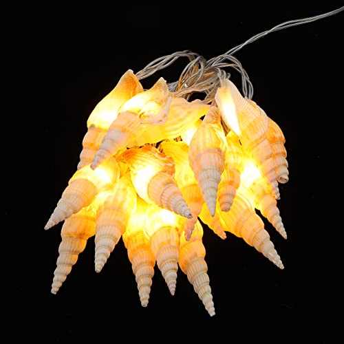 PRETYZOOM 1Stk Conch Lichterkette Laterne Stern Glühbirnen fairy lights feenlampe wohnungseinrichtung strandparty Muschelförmige Lichter hawaiianische Partylichter Plastik Beige von PRETYZOOM