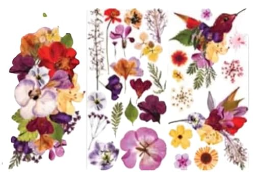 Prima Marketing Re-Design Decor Transfers 6"X12" 3/Sheets-Organic Flora von PRIMA MARKETING INC