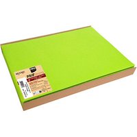 100 PROnappe Platzsets grün 30,0 x 40,0 cm von PROnappe