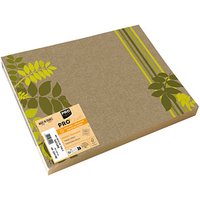 400 PROnappe Platzsets Natur mehrfarbig 30,0 x 40,0 cm von PROnappe