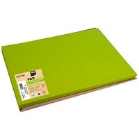 500 PROnappe Platzsets Tiss Lack grün 30,0 x 40,0 cm von PROnappe