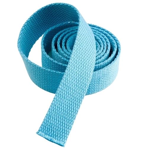 Gurtband, 5 Meter, 25 mm, Canvas-Band, Gürteltaschen-Gurtband, Nylon-Gurtband, Rucksack-Umreifung, Nähen, Tasche, Gürtel, Zubehör(Sky Blue) von PRPRP