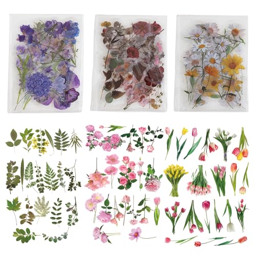 240 Stück Blumen Aufkleber Set, Natürliche Ästhetische Scrapbooking Aufkleber, Selbstklebende PET Transparente Wasserdichte Blumenaufkleber für Scrapbook Supplies, Handwerk, Karte, Laptop von PUERFOCA