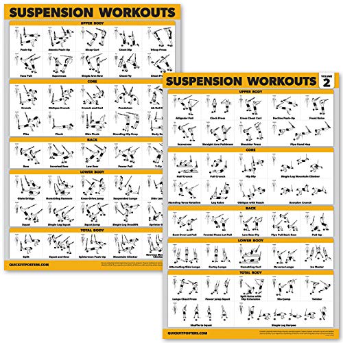 Palace Learning Trainingsposter mit Aufhängung, Band 1 und 2, laminiert, 45,7 x 61 cm, Vol. 1 & 2, 2 Stück von Palace Learning