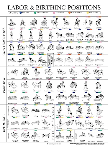 Poster "Labor Positions" – Geburtspositionstabelle – Bildung für Doula, Hebamme oder Geburtsarbeiter – 45,7 x 61 cm – laminiert von Palace Learning