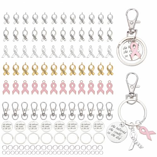 PandaHall 330pcs Breast Cancer Awareness Ribbon Pendant Kit, Pink Silver Ribbon Charms Inspirierende Anhänger Split Key Rings Swivel Karabinerverschlüsse Open Biegeringe Für Die Schmuckherstellung von PH PandaHall