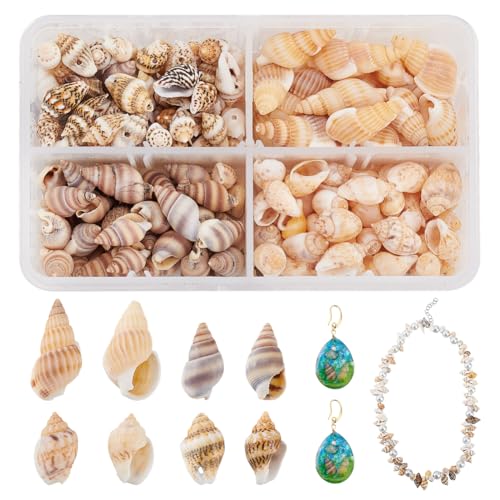 PandaHall Über 70g / 330pcs 4 Styles Spiral Shells, Ocean Beach Conch Muscheln Mit Loch Und Ohne Loch Für Armbandschmuck, Kunst, Heimtextilien, Aquarium Und Vasenfüller von PandaHall