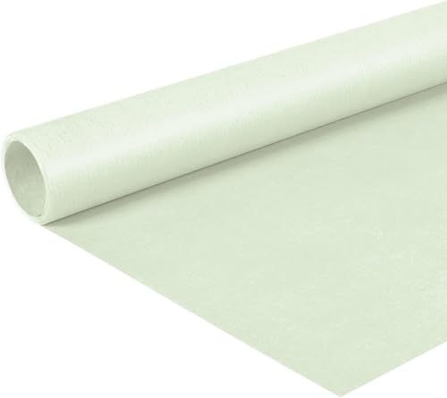 Papiertiger Farbiges Kraftpapier auf Rolle, ideal für Geschenkideen und Bastelprojekte (Pastellgrün minze, 1 Rolle 10m x 70cm) von Papiertiger