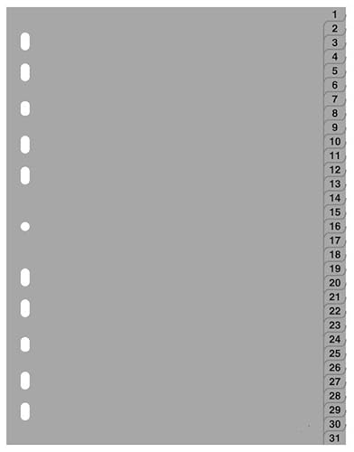 Papiertiger Register PP (1-31 A4, 10er Pack) von Papiertiger