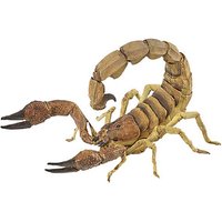 papo Wildtiere der Welt 50209 Skorpion Spielfigur von Papo