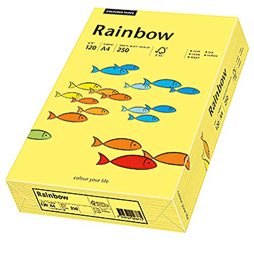 Papyrus 88042348 Drucker-/Kopierpapier bunt, Bastelpapier: Rainbow 120 g/m², A4 250 Blatt, matt, gelb von Papyrus