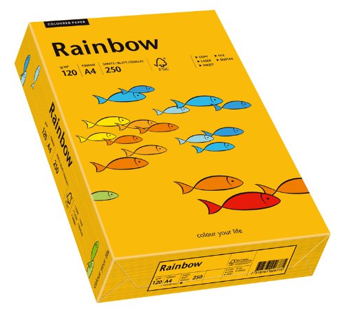 Papyrus 88042414 Drucker-/Kopierpapier farbig: Rainbow 120 g/m² DIN-A4, 250 Blatt Buntpapier, mittel-orange von Papyrus