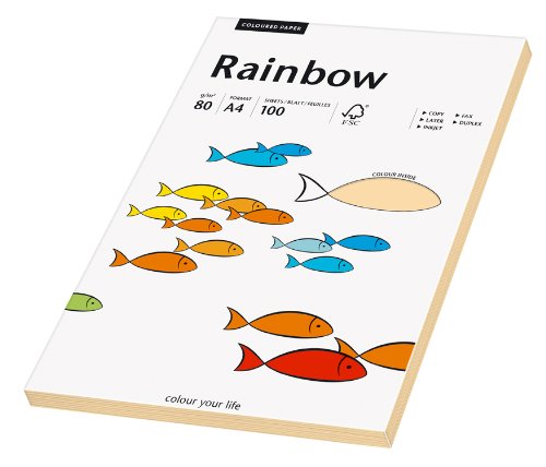 Papyrus 88042499 Druckerpapier Rainbow 80 g/m², A4 100 Blatt lachs von Papyrus