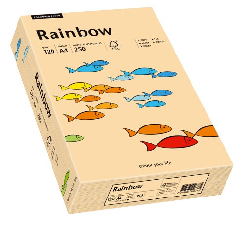 Papyrus 88042502 Drucker-/Kopierpapier farbig, Bastelpapier Rainbow: 120 g/m², A4, 250 Blatt Buntpapier, lachs von Papyrus