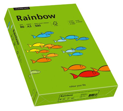 Papyrus 88042676 Druckerpapier Rainbow 80 g/m², A3 500 Blatt intensivgrün von Papyrus