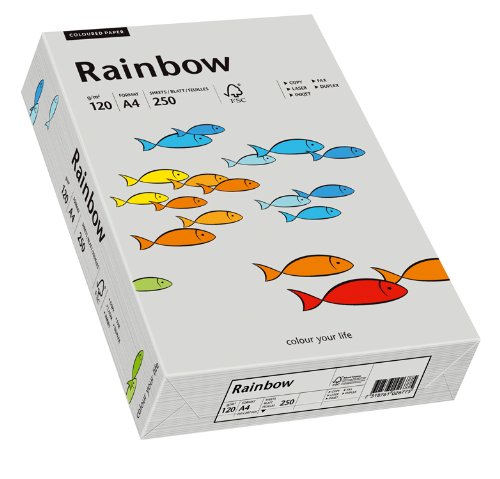 Papyrus 88042810 Druckerpapier Rainbow 120 g/m², A4 250 Blatt grau von Papyrus