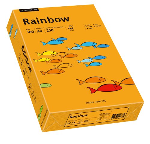 Papyrus 88042439 Drucker-/Kopierpapier farbig, Bastelpapier: Rainbow 160 g/m², A4, 250 Blatt, orange von Papyrus