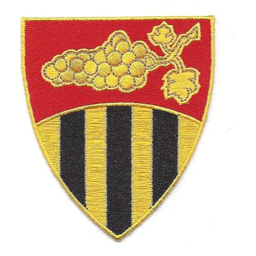 147th Armored Regiment Patch von Paraserbatoio.it