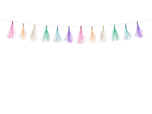 PartyDeco Girlande Quasten Mix 12m Geburtstag Hochzeit Hochzeit von PartyDeco