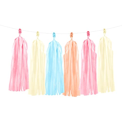 Tassel Girlande Quasten Mix Pastell 12Stk./200cm TG7 von PartyDeco