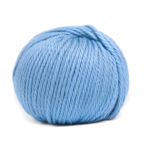 100 g Pascuali Maximo | 100% Schurwolle (Bio Merino Superfine, GOTS-zertifiziert) Filzfrei, Farbe:Blaue Hortensie 416 von Pascuali