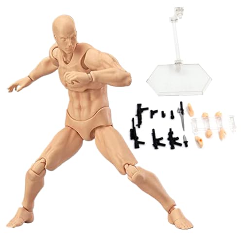 Body Actionfiguren, 5,9 -Zoll -Künstler Manikin Actionfigur Zeichnungsmodell mit Stand & Accessoires, Leichtes Zeichnen menschlicher Mannequin zum Skizzieren, Malen, Zeichnen (männlich) von Pastoralist