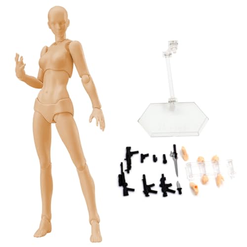 Body Actionfiguren, 5.1inch Künstler Manikin Actionfigur mit Stand & Accessoires, menschliches Körperzeichnungsbildmodell für Künstler skizzieren, Malerei (weiblich) von Pastoralist